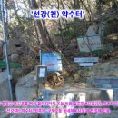 선강약수터 하(구포-5)