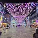 내일전통시장 | 부산 가족 여행 1박 2일 코스 해운대전통시장 투어 후기, 가볼만한 곳, 맛집 추천(1일차 저녁)