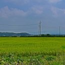 연천호로고루 이미지