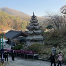 와우정사 이미지