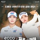 대아스크린골프 이미지