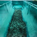 승규농장 이미지