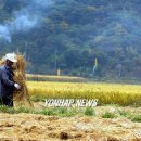 여물소 - 노원구 | 여물소