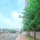 2호선 반고개역 4번출구 앞 이미지