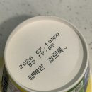 레인바우 | 시흥 애견카페 추천 : 대형 인조잔디 운동장+실내포토존 완비 : 시흥 레인바우 애견카페