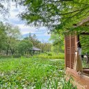 전주 렌트카 투루카로 1박2일 여행