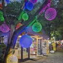 청도 프로방스 빛축제와 브런치 카페 엘파라이소 365 후기