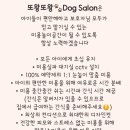 또왕또왕 Dog Salon 네이버블로그