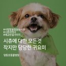 다정한 동물병원 이미지