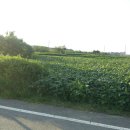 초지강화공인중개사사무소 이미지