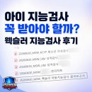 [공지] 아이 지능검사 꼭 받아야 할까? 웩슬러 지능검사 후기