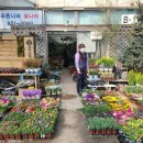 푸른나라꽃나라
