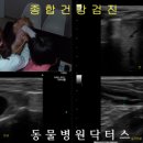 닥터스종합동물병원 이미지