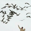 문예회관 대극장 이미지