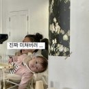 잇댓쥬리 이미지