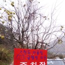 청도.어울림글램핑타운 이미지