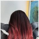 리안헤어가정