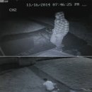 대원집 - 원주시 | 대원집