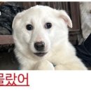 연세태권도 이미지