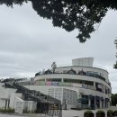 도로변(신도림로 40) | 담양아침식사 담양시장맛집 담양점심맛집 추천 죽녹원대들보 솔직 찐 후기