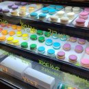 금성제과 이미지