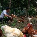 김진환농장 이미지