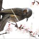 작전 풍림아이원아파트 이미지