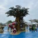 감문국이야기 | 김천 감문국이야기나라 물놀이장 이용 후기 (예약방법, 이용시간, 복장 등)