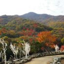 삼성궁 이미지