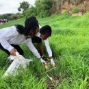 빛과 소금 이미지