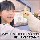 버드소리 남양주점 | 남양주 아이와 가볼만한 곳 마석 버드소리 남양주점 위치 솔직후기