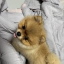 개편한 미용# 이미지