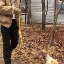 호두데이 이미지