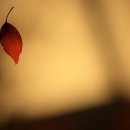 이*연 - 미추홀구 낙섬중로 102 | 이*연