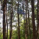 남노일리 태극권역트레킹코스 전망대 간이화장실 | 제주 거문 오름 탐방- 유네스코 세계자연유산 전체 코스를 걷다