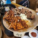 정미켄넬 | 담양 일기 및 오늘 일기