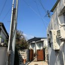 황룡stay 이미지