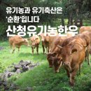 산청조섬유배합사료영농조합법인 | 유기농과 유기축산은 '순환'입니다. 유기축산 실천 한우농장 <산청유기농한우>