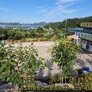 진도죽림형제민박 이미지