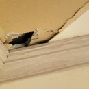 신한4길 이미지