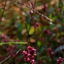 중천농장 이미지