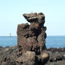 제주 비양도 호니토 이미지