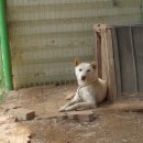 수리농장 이미지