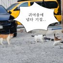 별다섯착한하우스 이미지