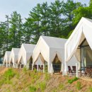 하늘숲캠핑장 이미지