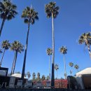 중문그랜드당구클럽 | [공지] 그랜드조선 제주 아기랑 내돈내산 꿀팁 후기 1(가든뷰 디럭스, 수영장, 사우나, 아기용품, 키즈...