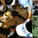 농촌문화체험민박 이미지