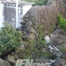 영천동 동상효농협 이미지