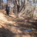 용산-244 이미지