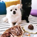 금쪽같은내강아지수제간식 이미지